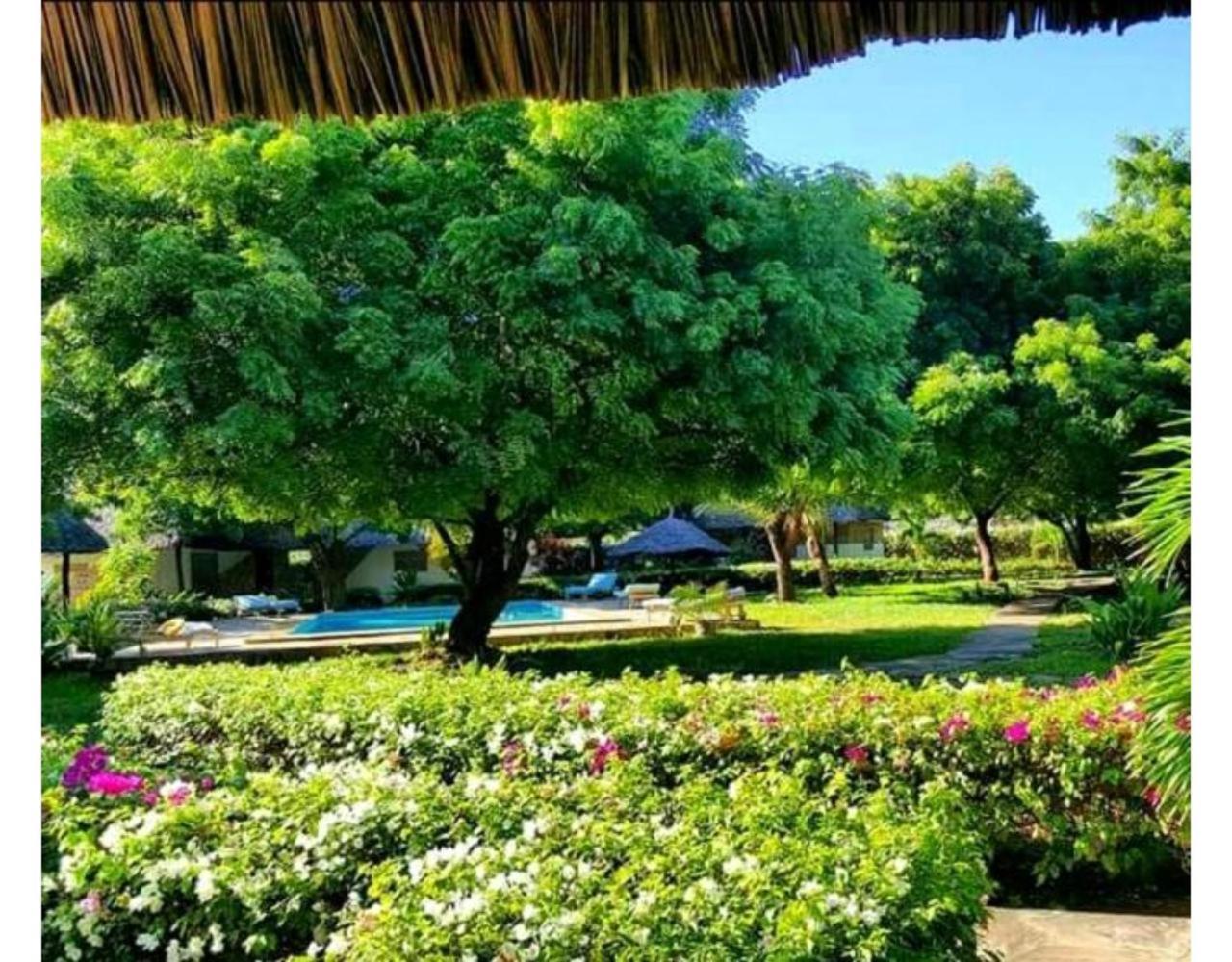 Eco Villas Ватаму Экстерьер фото