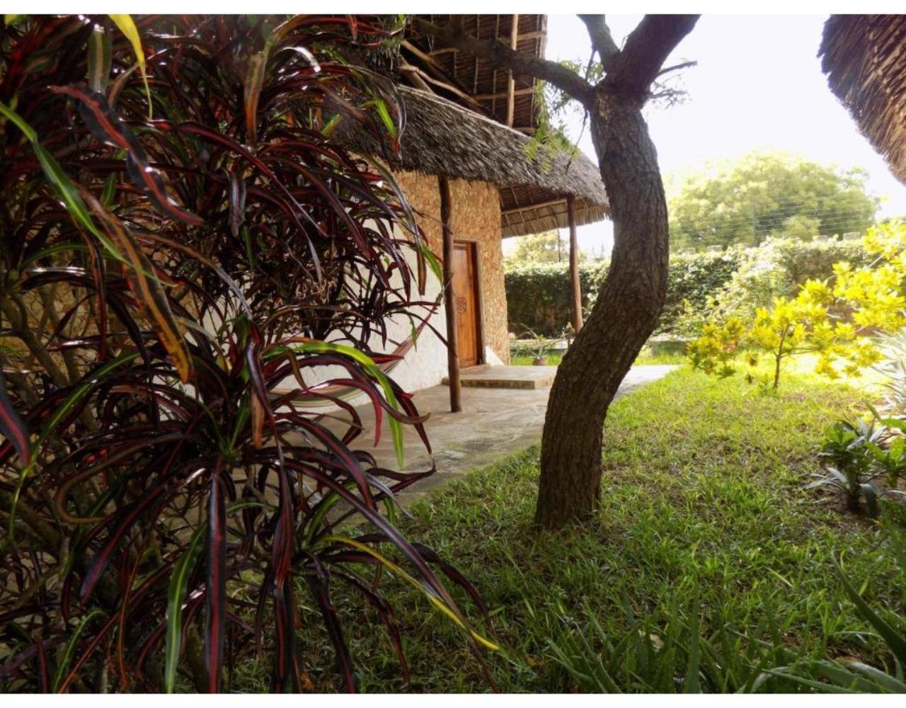 Eco Villas Ватаму Экстерьер фото